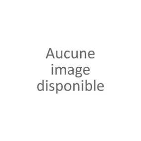 Lot 5 slips imprimés lapin fille